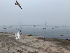 -星海广场