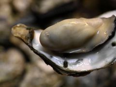 -邹记·美食(斗门店)