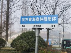 -黄海国家森林公园