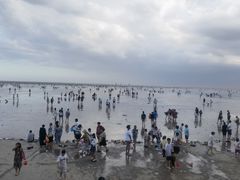 -碧海金沙
