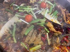 -老板恋上鱼(恒隆广场店)