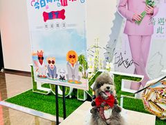 -大商麦凯乐(大连总店)