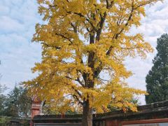-金堂县云顶石城风景区