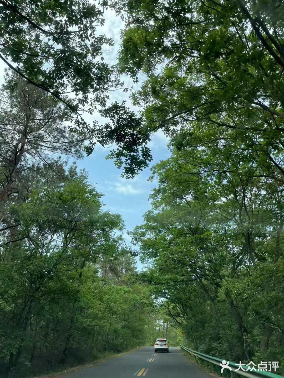 悠闲步伐，林中漫游