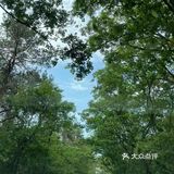 悠闲步伐，林中漫游