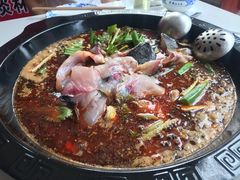 -大江美蛙鱼火锅(都江堰店)