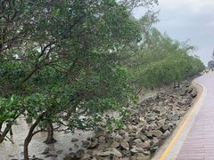 -宝安西湾红树林湿地公园