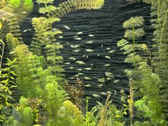 -上海海洋水族馆