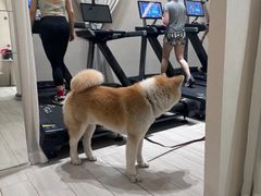 -YCHL Studios健身工作室(市二宫店)