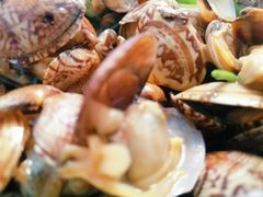 辣炒蛤蜊-人和啤酒屋海鲜大排档(营口路店)