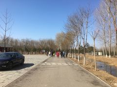 -东郊湿地公园
