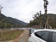 -北仑森林植物园