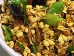 老厨黄豆芽-韩邦朝天锅