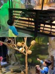 -酷嗒动物文化乐园(cutezoo西溪乐天城店)