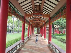 -顺峰山公园