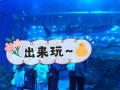 -成都浩海立方海洋公园