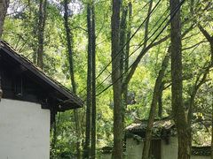 -富春桃源风景区