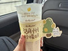 -猫的魔法密林(衣裳街店)
