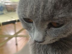 -莱姆星桌游·拼豆·团建