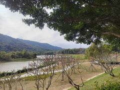 -风云岭森林公园