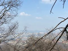-紫金山山顶公园