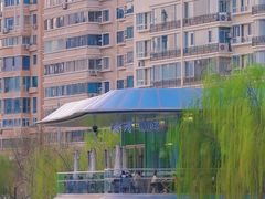 -雁滩公园