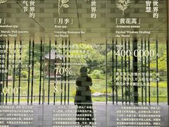 -云溪植物园