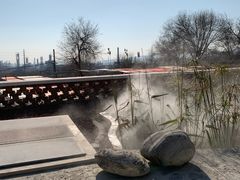 -白水寺森林公园