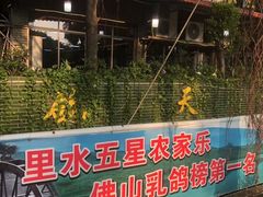 -麻奢鸽农庄·梦里水乡