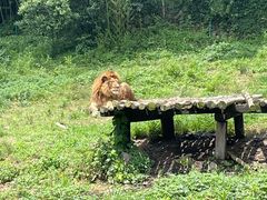 -宁波野生动物园