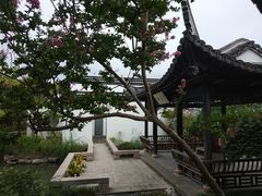 -金庸书院