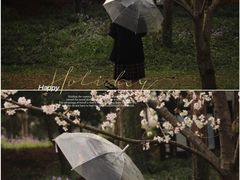 -苏州上方山国家森林公园