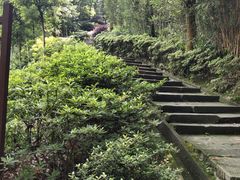 -重庆抗战遗址博物馆