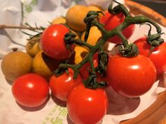 -季季山·云南野生菌火锅(上海首店)