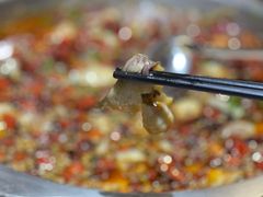 -文记沸腾鱼(永安路总店)