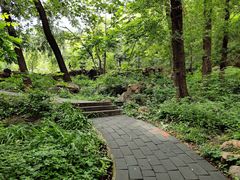-大岭沟猕猴桃谷风景区