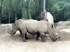 -北京野生动物园