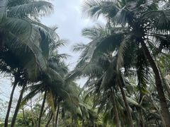 -白沙门生态公园