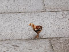 -三里河公园