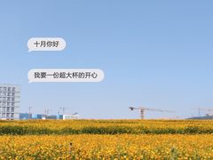 -光明小镇欢乐田园