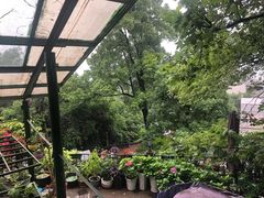 -南山植物园