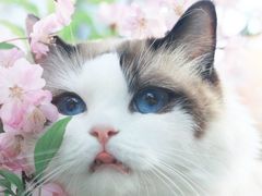 -东北人粗粮饺子坊(南山店)