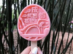-成都大熊猫繁育研究基地