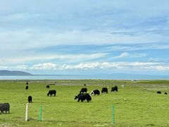 -青海湖国家重点风景名胜区