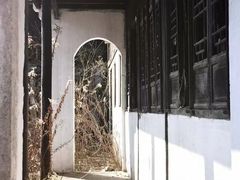 -上海鲜花港