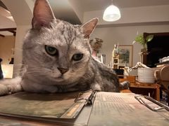 -隅cafe(傅厚岗店)