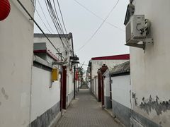 -白洋淀景区