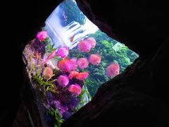 -多彩贵州城极地海洋世界