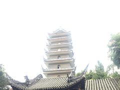 -生宇山珍野生菌汤锅•始于1999(双流古塔店)