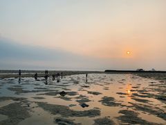 -红树林天天赶海